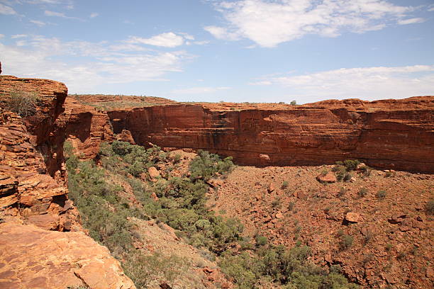 krajobraz kings canyon - alice springs australian culture desert kings canyon zdjęcia i obrazy z banku zdjęć