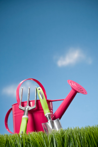 Pink metal watering can and gardening tools sitting in the grass.  The blue sky in the background has light fluffy clouds.