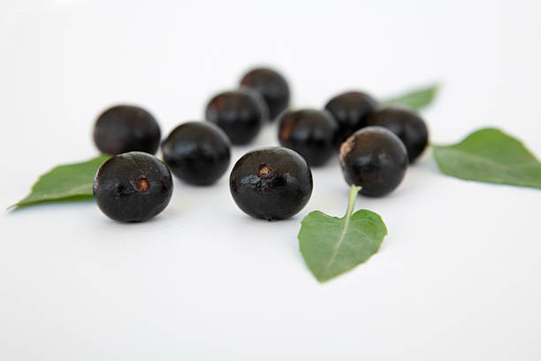 Açai bunch on white background. 