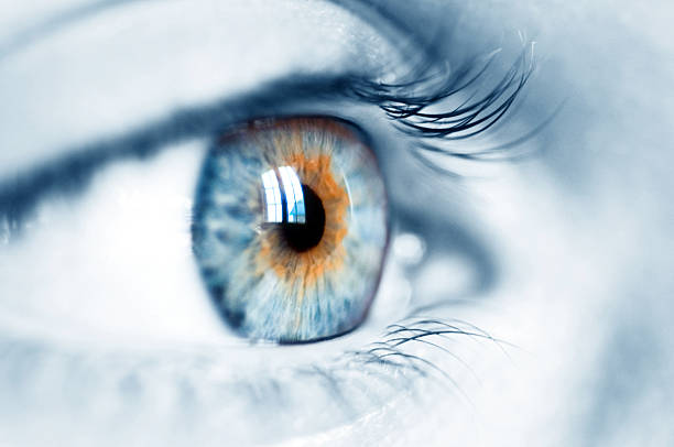 blue eye blue image which shows a blue beautiful eye. human eye close up eyeball side view stock pictures, royalty-free photos & images