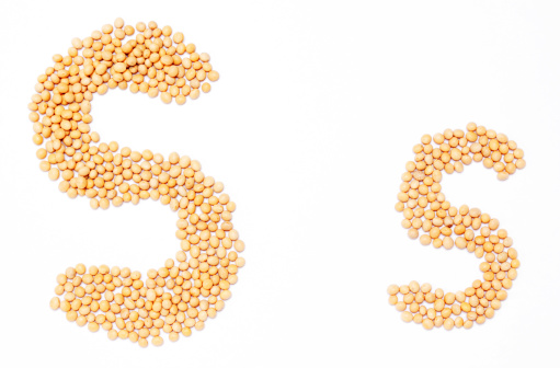 Upper or Lower Case Letters Ss created with dried Soy Beans.  Part of a Healthy Food Alphabet.