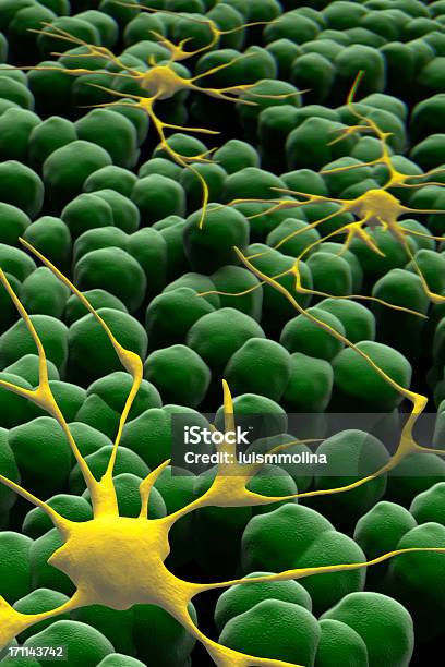 Neurone - Fotografie stock e altre immagini di Cellula - Cellula, Cervello, Tridimensionale