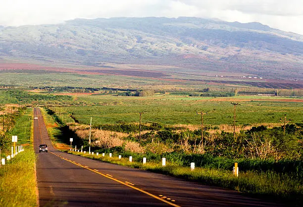 USA Hawaii Molokai, rural highway.