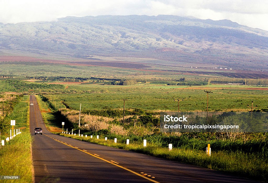 USA Hawaje Molokai, wiejskie i autostrady. - Zbiór zdjęć royalty-free (Moloka'i)