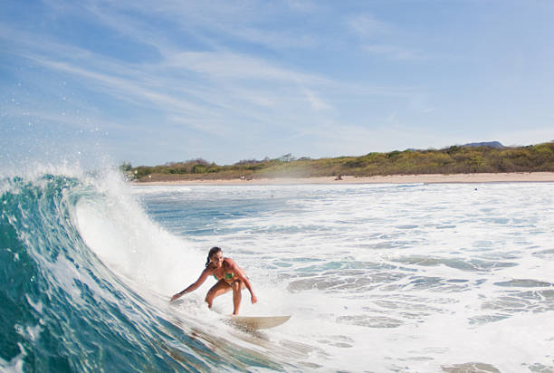 surfer - kustlinje videor bildbanksfoton och bilder