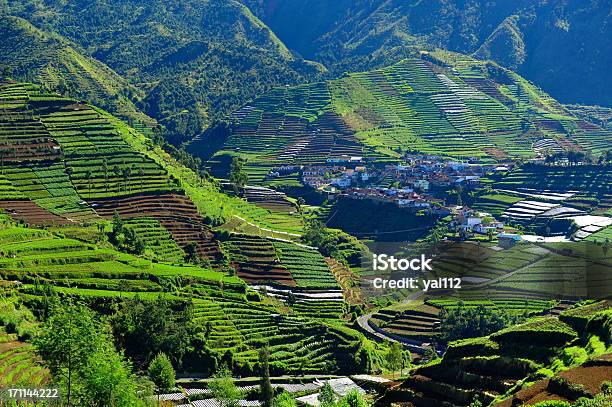 Foto de Platô Dieng Village e mais fotos de stock de Agricultura - Agricultura, Indonésia, Java