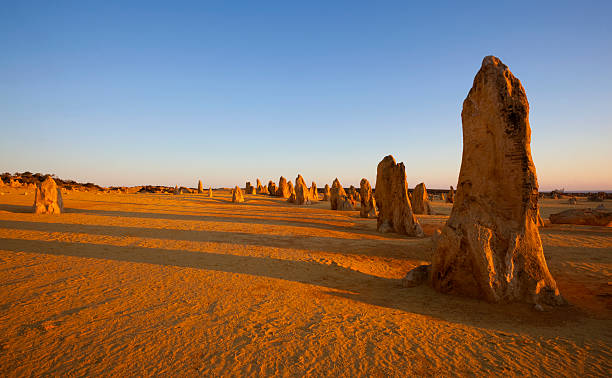 los pináculos desierto al atardecer - nambung national park fotografías e imágenes de stock