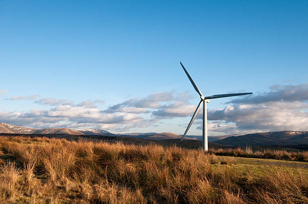 istock Wind turbine in the landscape 171144343