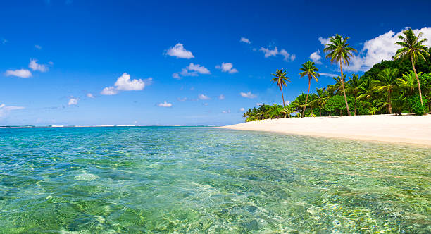 istock Blue sea white sand and tropical palms 171144413