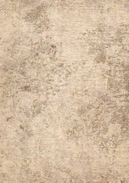 Hi-Res Artist's Coarse Grain Primed Jute Canvas Mottled Grunge Texture