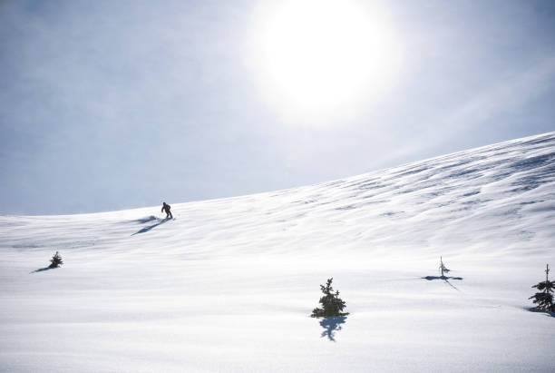 istock Telemark Skier Making Turn in Scenic Mountain Winter Landscape 171144962