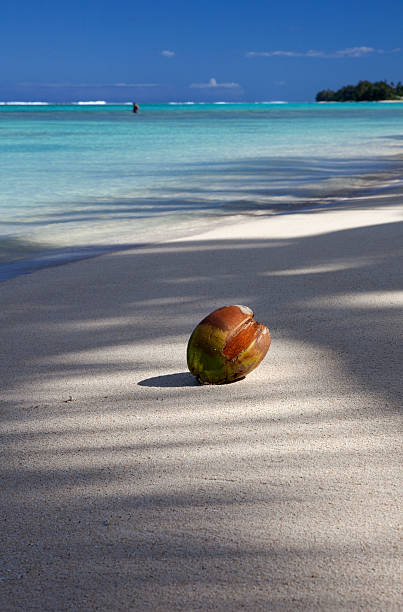 istock Coconut Beach On Rarotonga 171145226