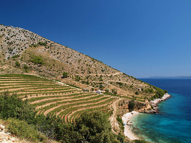 Adriatic coastline stock photo