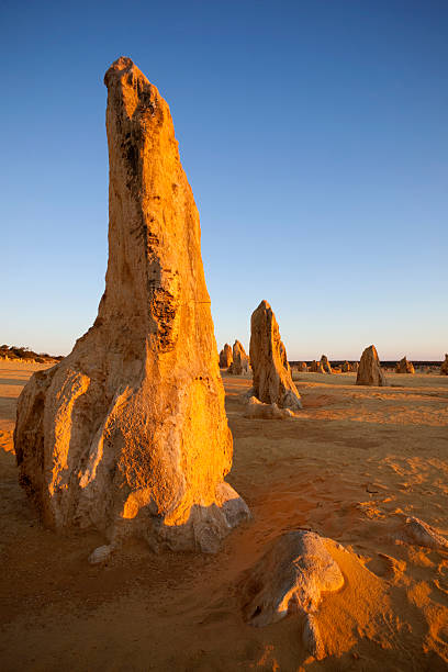 istock Limestone Column Of The Pinnacles 171145441
