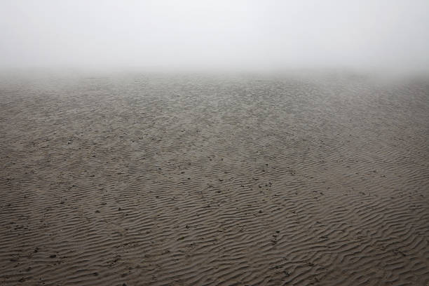Mud flats with fog.