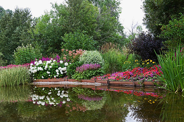 istock Landscaped Garden Pond with Flower Reflections 171145760