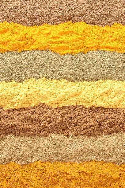 tierra especias en las filas - mustard ground yellow spice fotografías e imágenes de stock