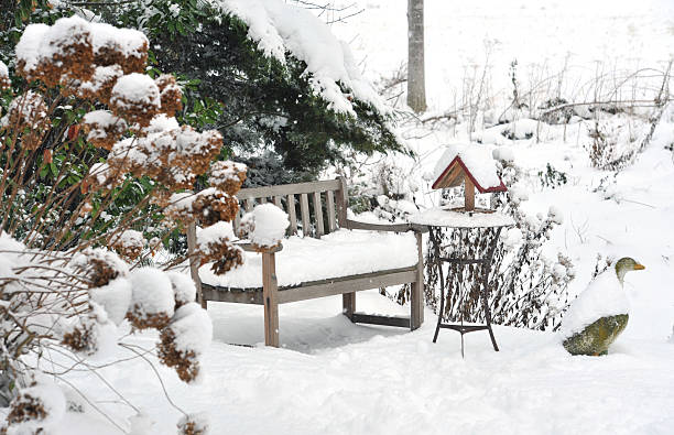 Winter garden with bench, bird feeder,side table ,stone goose stock photo