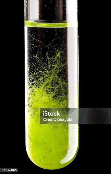 Foto de Proveta De Algas e mais fotos de stock de Verde - Descrição de Cor - Verde - Descrição de Cor, Proveta, Preservação ambiental