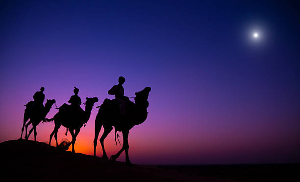 i re magi - india travel journey camel foto e immagini stock