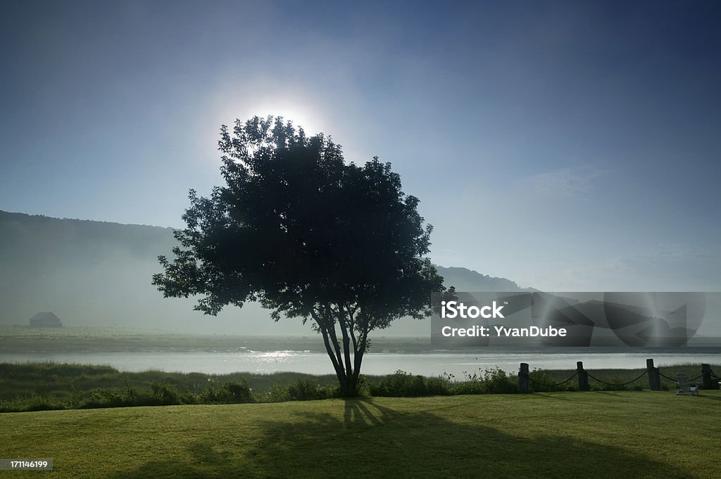 Albero e sunrise - Foto stock royalty-free di Baie-St-Paul