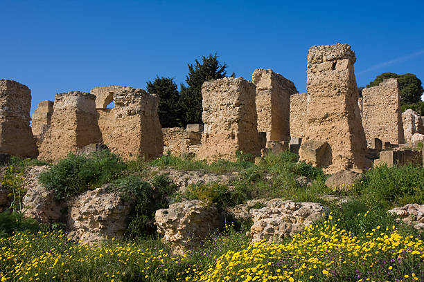 Tunis