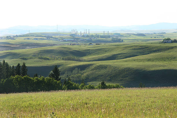 нефтяной и газовый завод с сельский - factory green industry landscape стоковые фото и изображения