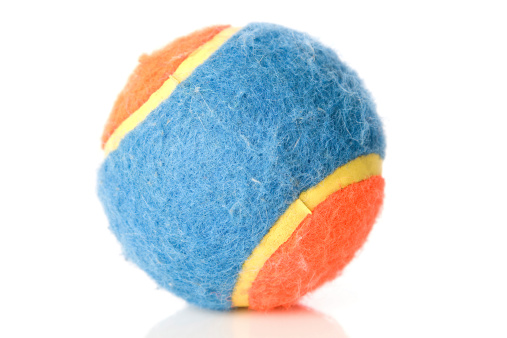 Bright orange and blue ball with yellow stripes. Hairy and used from playing with dog. Isolated on white background.Interested in other dog items...click the link below.