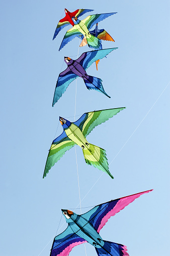 Colorful parrot-shaped paper kites being flown.