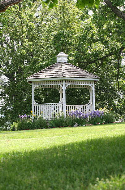 istock White gazebo in a field with shadow of trees 171146905
