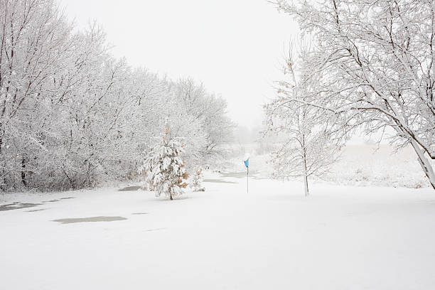 ユキコ冬の風景、木々と巣箱 - landscaped landscape winter usa ストックフォトと画像
