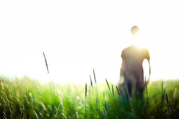 istock Vibrant Field and Silhouette 171147065