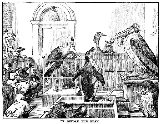 Up Before The Beak - Punch's Almanack, 1882 'Up before the beak' means appearing in court before a judge or magistrate. In this illustration, the phrase has been taken literally, with all sorts of beaks in attendance and a nervous stork cowering in the dock. The true origin of the phrase is not known. An engraved illustration from Punch's Almanack for 1882, published by Punch, London, in 1881. Punch was a British magazine newspaper founded in 1841, famous for its humorous and satirical cartoons which were created by some of the foremost illustrators of the day: the Almanack was a supplement. lawyer cartoon stock illustrations