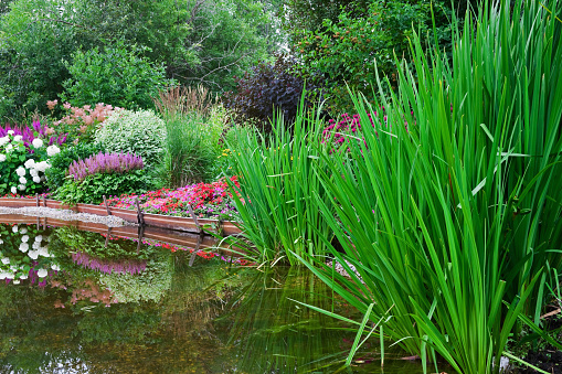 A variety of colorful flowers, plants, bushes and trees surround a landscaped garden pond.