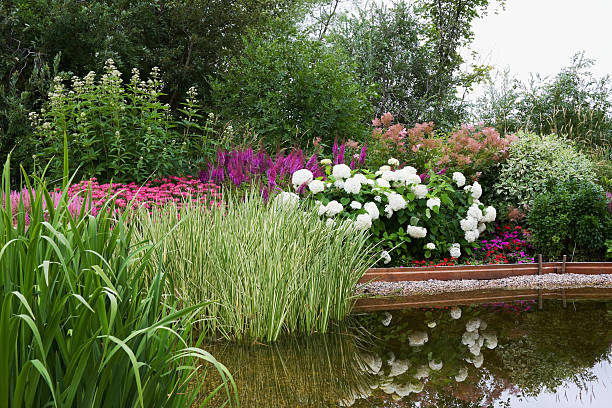 Spring garden with flowers