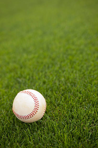 A baseball on the grass during a game this color image of a baseball in the green grass in the outfield of a baseball field at a major league or little league baseball game. the outfield is green grass or artificial turf. and the baseball is white leather with red stitching. the photo was taken at a sporting event. the lighting is natural lighting with sunlight. the picture was taken at a live sporting event at a baseball game on a baseball field. the picture includes an official baseball with white leather and red stitching  spring training stock pictures, royalty-free photos & images