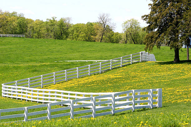 A study of colour and perspective on a Minnesota Horse Ranch.Click on the LIGHTBOX BUTTON Below to see more images of my BARNS, FARMS and FARMLANDS