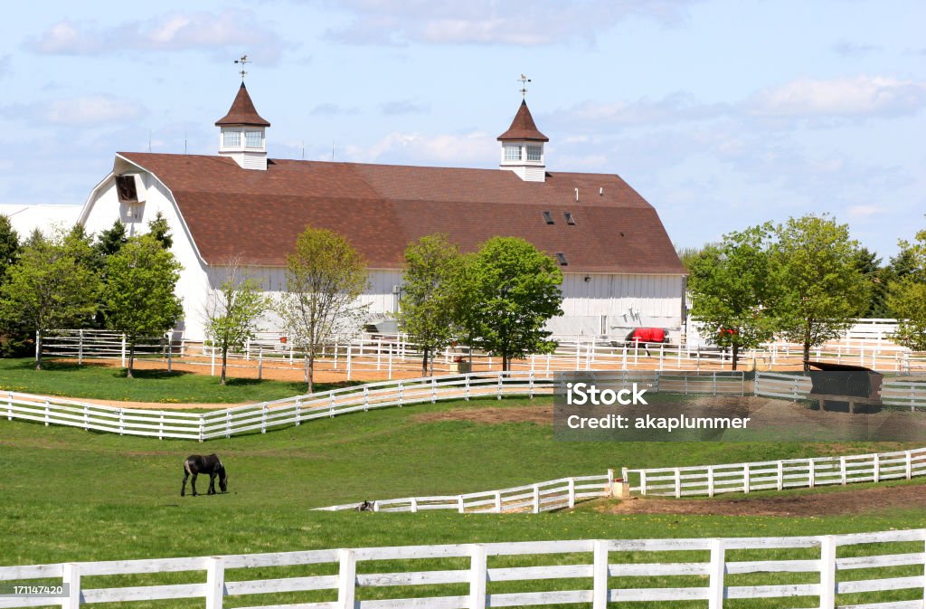 Ranch - Lizenzfrei Agrarbetrieb Stock-Foto