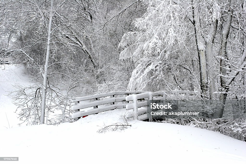 Entrar no país das maravilhas de inverno - Foto de stock de Minnesota royalty-free