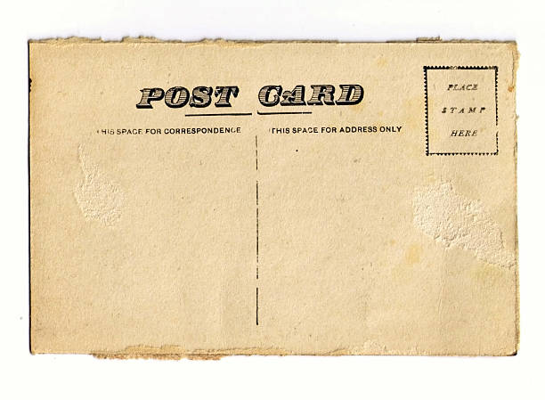 Vintage Blank Postcard.