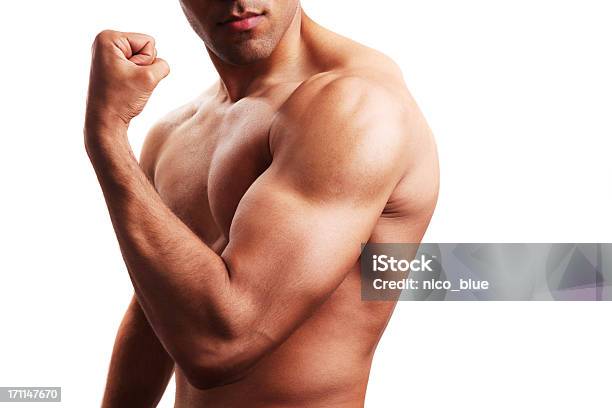 Cuerpo Builder Flexión Biceps Foto de stock y más banco de imágenes de Musculoso - Musculoso, Hombres, Bíceps