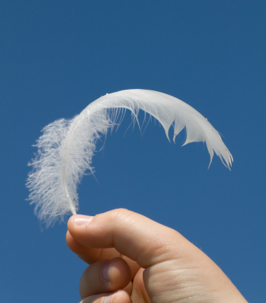 Feather in hand