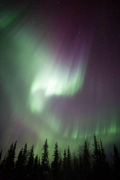 istock Aurora Borealis with Purple 171147860