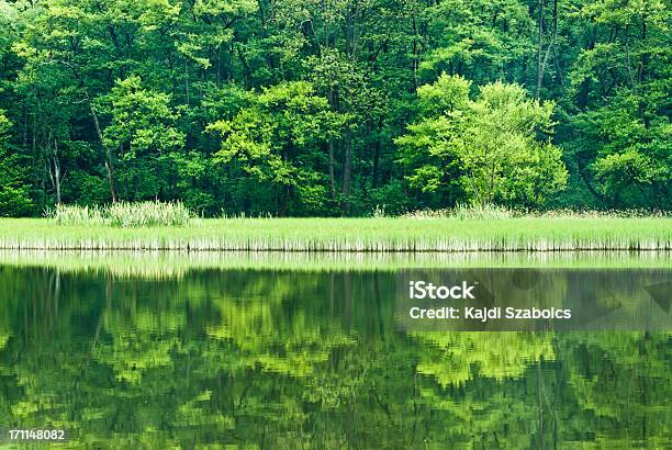 See Lake Stockfoto und mehr Bilder von Abenddämmerung - Abenddämmerung, Baum, Beengt