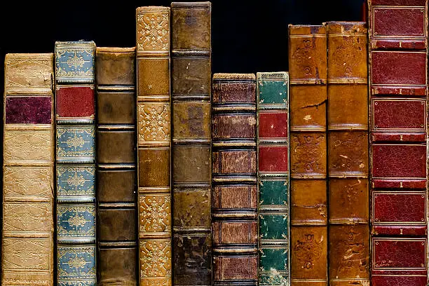 A row of antique books dating from 1838 to1894Bound in leatherBlank Spines