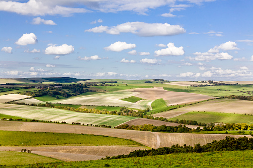 View of the South Downs; patchwork landscape of chalk hills from the South Downs Way between Brighton and Lewes