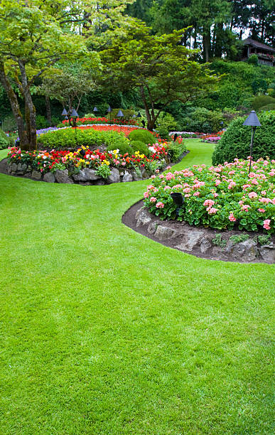 butchart de fleurs colorées lits - buchart gardens photos et images de collection