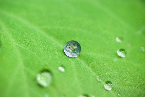 istock Planet earth waterdrop on a green leaf, copy space 171148867