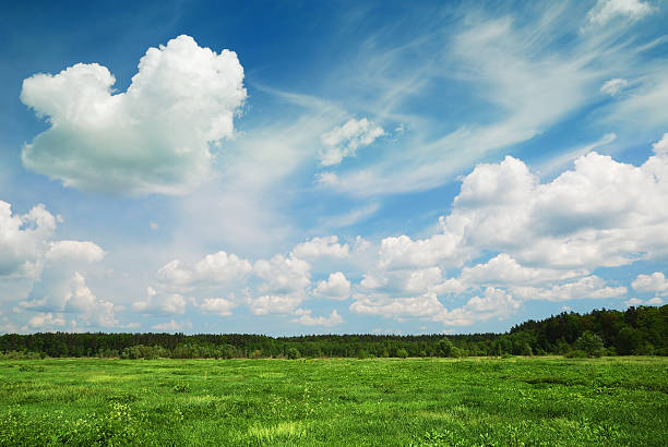 istock The blue sky with clouds above green plain 171148924