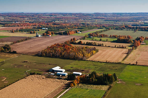 istock Aerial View of Farmland 171149151